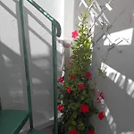 Casa Vitamin Sea Διαμέρισμα *