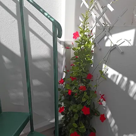 Casa Vitamin Sea アパート カレタ・デ・フステ